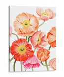 Amapolas Brillantes I - Grace Popp | Cuadro decorativo de Canvas Lab