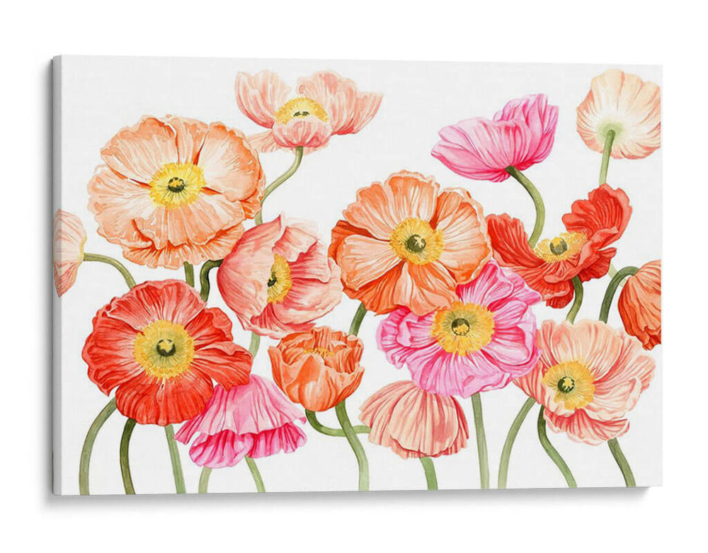 Poppies Brillantes Iii - Grace Popp | Cuadro decorativo de Canvas Lab