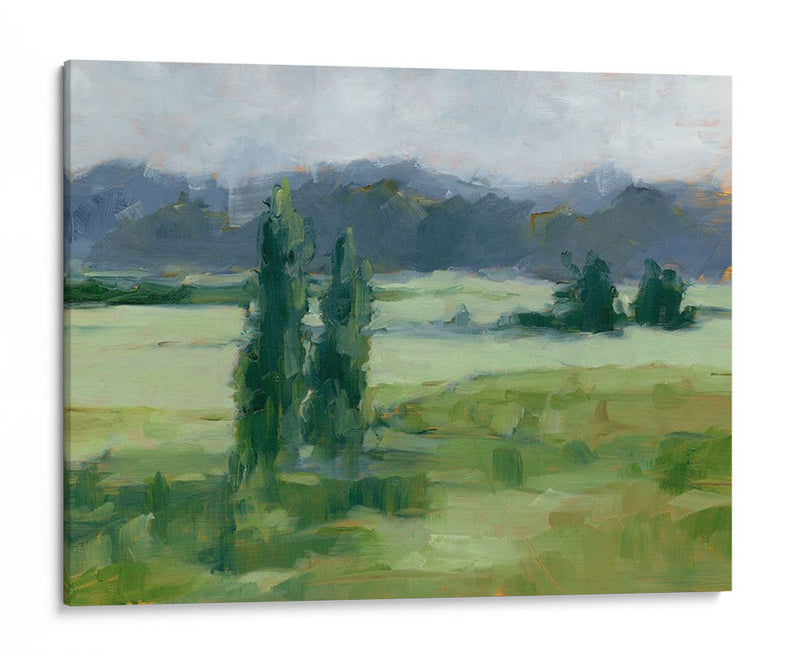 Misty Green Valley I - Ethan Harper | Cuadro decorativo de Canvas Lab