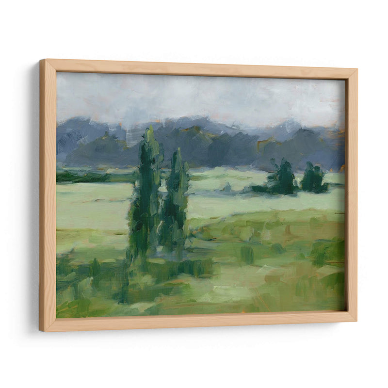 Misty Green Valley I - Ethan Harper | Cuadro decorativo de Canvas Lab