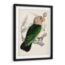 Pareja De Loros Antiguos I | Cuadro decorativo de Canvas Lab
