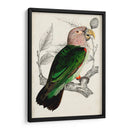 Pareja De Loros Antiguos I | Cuadro decorativo de Canvas Lab