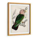 Pareja De Loros Antiguos I | Cuadro decorativo de Canvas Lab