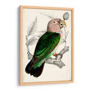 Pareja De Loros Antiguos I | Cuadro decorativo de Canvas Lab
