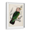 Pareja De Loros Antiguos I | Cuadro decorativo de Canvas Lab