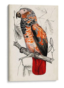 Par De Loros Antiguos Ii | Cuadro decorativo de Canvas Lab