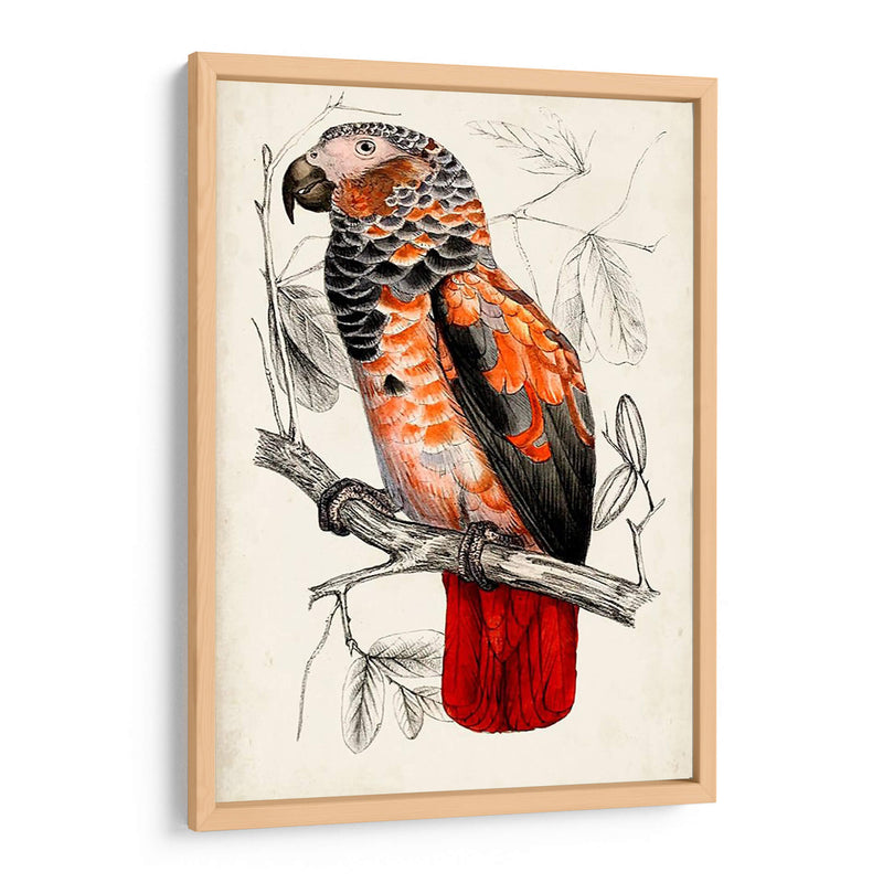 Par De Loros Antiguos Ii | Cuadro decorativo de Canvas Lab