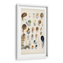 Plumas De Aves Antiguas Ii | Cuadro decorativo de Canvas Lab