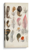 Plumas De Aves Antiguas Iii | Cuadro decorativo de Canvas Lab