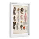 Plumas De Aves Antiguas Iii | Cuadro decorativo de Canvas Lab