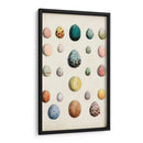 Huevos De Aves Antiguos Ii | Cuadro decorativo de Canvas Lab