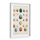 Huevos De Aves Antiguos Ii | Cuadro decorativo de Canvas Lab