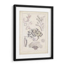 Antiguo Coral Blanco Iv - Vision Studio | Cuadro decorativo de Canvas Lab