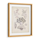Antiguo Coral Blanco Iv - Vision Studio | Cuadro decorativo de Canvas Lab