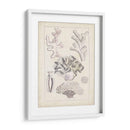 Antiguo Coral Blanco Iv - Vision Studio | Cuadro decorativo de Canvas Lab