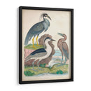 Antigua Garza Y ​​Aves Acuáticas I | Cuadro decorativo de Canvas Lab