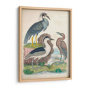 Antigua Garza Y ​​Aves Acuáticas I | Cuadro decorativo de Canvas Lab
