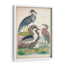 Antigua Garza Y ​​Aves Acuáticas I | Cuadro decorativo de Canvas Lab