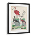 Antigua Garza Y ​​Aves Acuáticas Ii | Cuadro decorativo de Canvas Lab