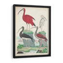 Antigua Garza Y ​​Aves Acuáticas Ii | Cuadro decorativo de Canvas Lab