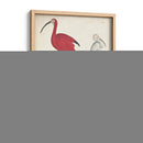 Antigua Garza Y ​​Aves Acuáticas Ii | Cuadro decorativo de Canvas Lab