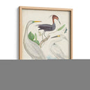 Antigua Garza Y ​​Aves Acuáticas Iii | Cuadro decorativo de Canvas Lab