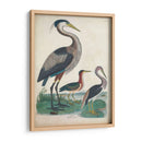 Antigua Garza Y ​​Aves Acuáticas Iv | Cuadro decorativo de Canvas Lab