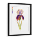 Arco Iris Iris I - Grace Popp | Cuadro decorativo de Canvas Lab