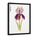 Arco Iris Iris I - Grace Popp | Cuadro decorativo de Canvas Lab