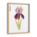 Arco Iris Iris I - Grace Popp | Cuadro decorativo de Canvas Lab