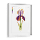 Arco Iris Iris I - Grace Popp | Cuadro decorativo de Canvas Lab
