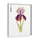 Arco Iris Iris I - Grace Popp | Cuadro decorativo de Canvas Lab