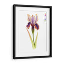Arco Iris Iris Ii - Grace Popp | Cuadro decorativo de Canvas Lab