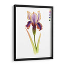Arco Iris Iris Ii - Grace Popp | Cuadro decorativo de Canvas Lab