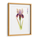 Arco Iris Iris Ii - Grace Popp | Cuadro decorativo de Canvas Lab