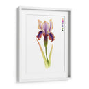 Arco Iris Iris Ii - Grace Popp | Cuadro decorativo de Canvas Lab