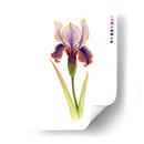 Arco Iris Iris Ii - Grace Popp | Cuadro decorativo de Canvas Lab