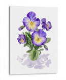 Pensamientos De Viola I - Grace Popp | Cuadro decorativo de Canvas Lab