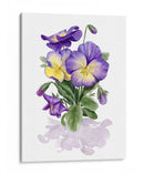 Pensamientos De Viola Ii - Grace Popp | Cuadro decorativo de Canvas Lab