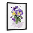 Pensamientos De Viola Ii - Grace Popp | Cuadro decorativo de Canvas Lab