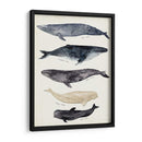 Gráfico De Ballenas Ii - Susan Savory | Cuadro decorativo de Canvas Lab
