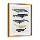 Gráfico De Ballenas Ii - Susan Savory | Cuadro decorativo de Canvas Lab