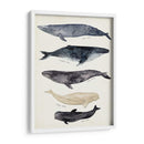 Gráfico De Ballenas Ii - Susan Savory | Cuadro decorativo de Canvas Lab