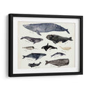 Gráfico De Ballenas Iii - Susan Savory | Cuadro decorativo de Canvas Lab