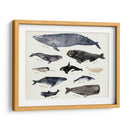 Gráfico De Ballenas Iii - Susan Savory | Cuadro decorativo de Canvas Lab