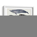 Gráfico De Ballenas Iii - Susan Savory | Cuadro decorativo de Canvas Lab