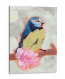 Songbird Pintado Ii - Jennifer Paxton Parker | Cuadro decorativo de Canvas Lab