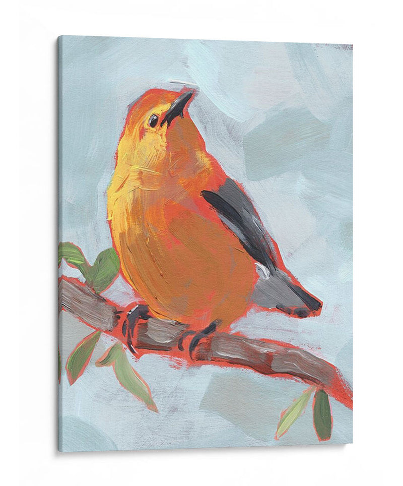 Songbird Iii Pintado - Jennifer Paxton Parker | Cuadro decorativo de Canvas Lab