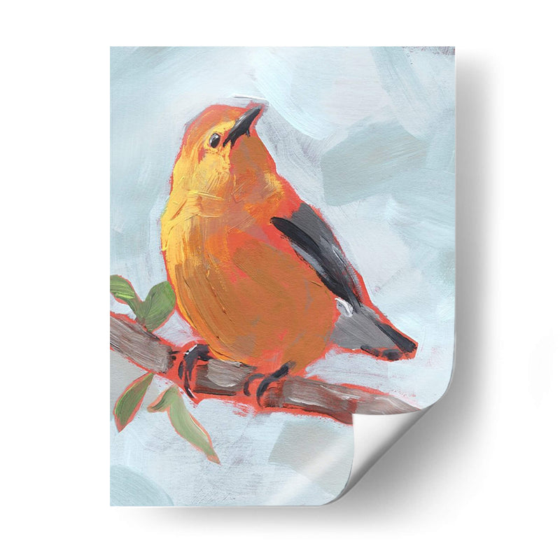 Songbird Iii Pintado - Jennifer Paxton Parker | Cuadro decorativo de Canvas Lab