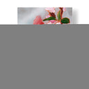 Songbird Pintado Iv - Jennifer Paxton Parker | Cuadro decorativo de Canvas Lab